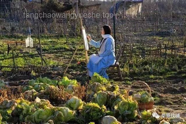 种地吧：回归田园，掌握现代农耕智慧