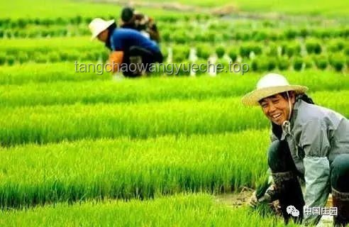 种地吧：回归田园，掌握现代农耕智慧