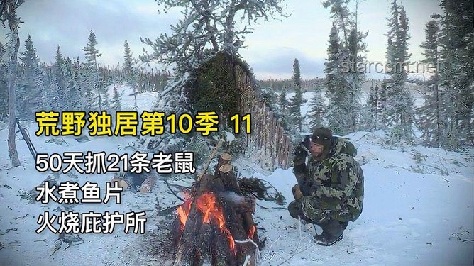 荒野冒险兴起：UP主雨林求生的行业洞察