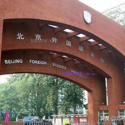 女生考完英语自信满满：985稳了，备考攻略来袭！
