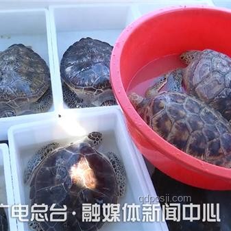 🔄《归环》首曝震撼，时间循环的魅力无限！
